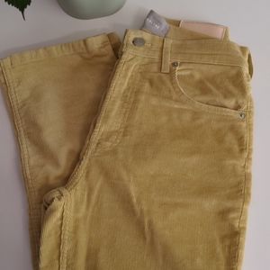 Everlane Corduroy Pants
